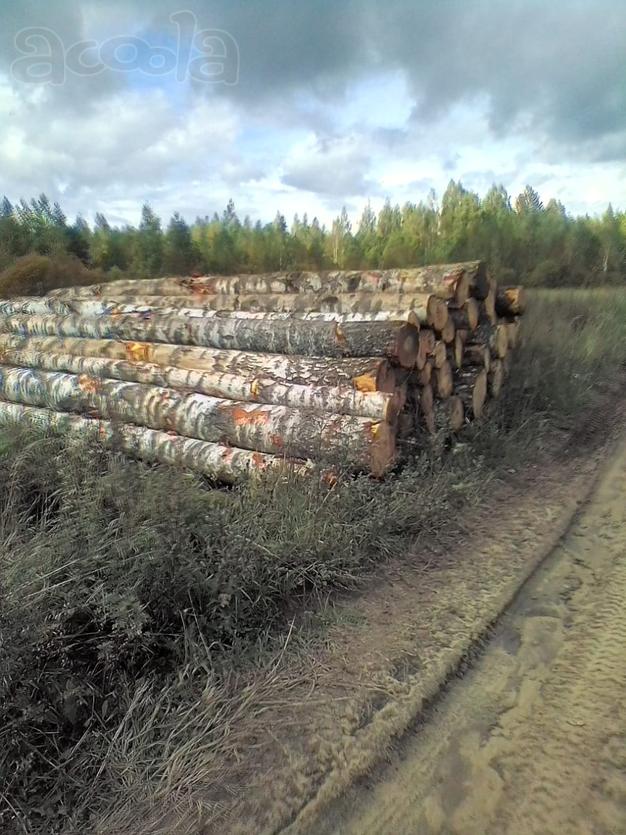 Круглый лес, хвойных пород, берёза