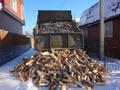Дрова березовые колотые с доставкой по Гатчинскому району